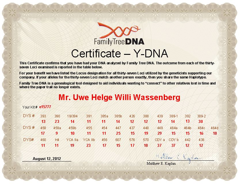 Zertifikat Y-DNA vom 12. August 2012, 37 Marker
