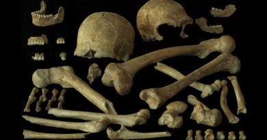 Speisezettel: Neandertaler und moderne Menschen aßen ähnlich