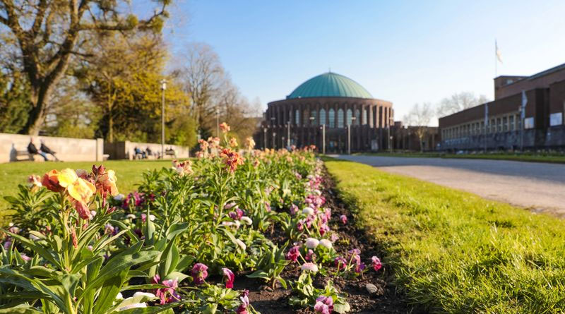 220.000 Frühlingsblüher in den Grünanlagen von Düsseldorf