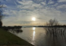 Rheinpegel: Hochwasserschutzmaßnahmen werden eingeleitet