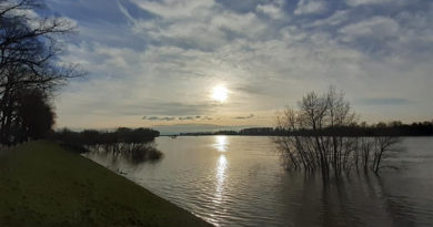 Rheinpegel: Hochwasserschutzmaßnahmen werden eingeleitet